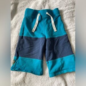 Boys shorts size 5 peekaboo beans